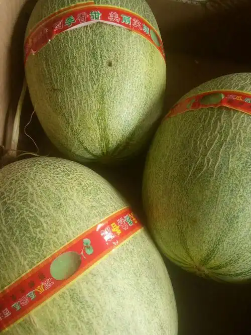 小朋友下午点心,哈密瓜