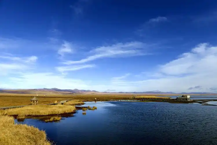 【花湖秋色摄影图片】四川若尔盖国内摄影_boby_太平洋电脑网摄影部落
