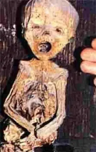 印加儿童木乃伊 资料图