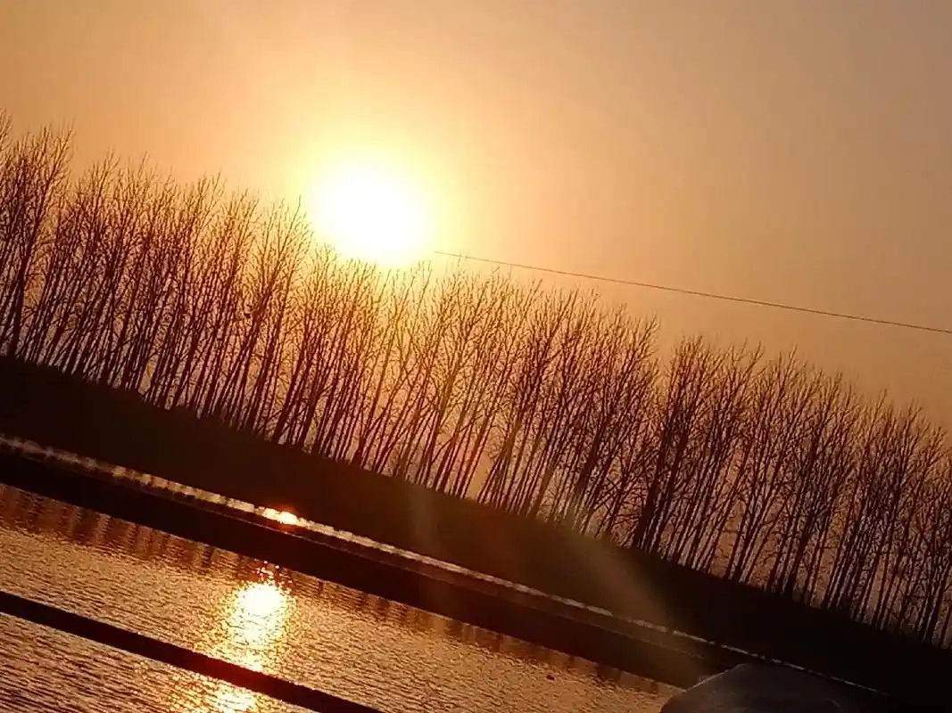 早晨最美的日出#晨起的阳光伴随你愉悦的每一天#最美