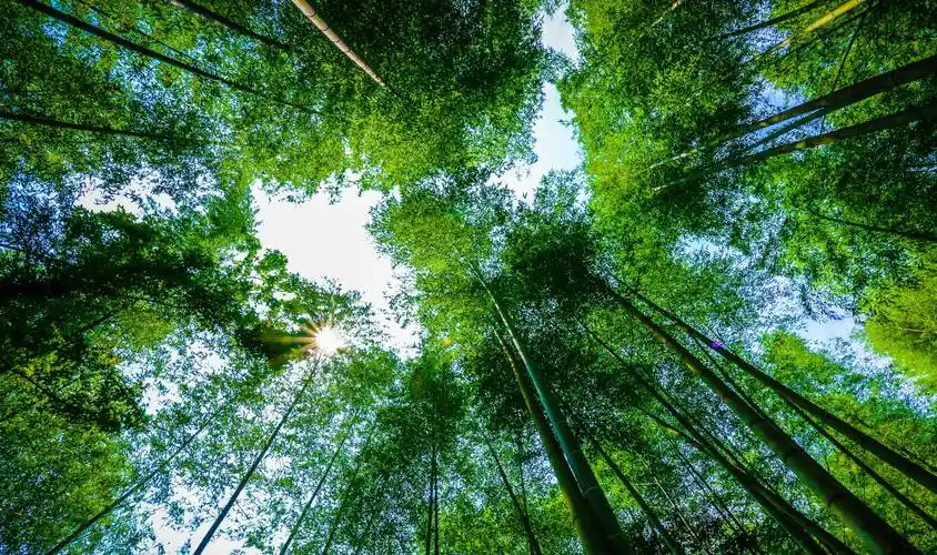 原创这座古村的矴步桥不输凤凰还有韵味十足的老宅和清新脱俗的竹林