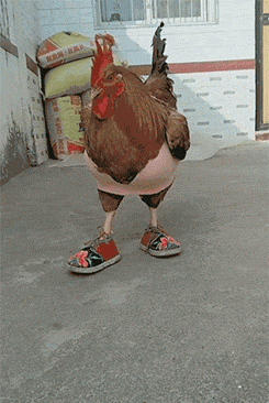 搞笑神贴:刷墙要求现在这么高了?