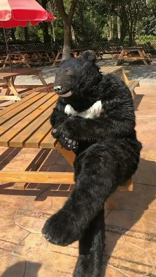 史上最萌黑狗熊,帅不过三秒,太逗了@{uid:1502349662339070,nick:�%