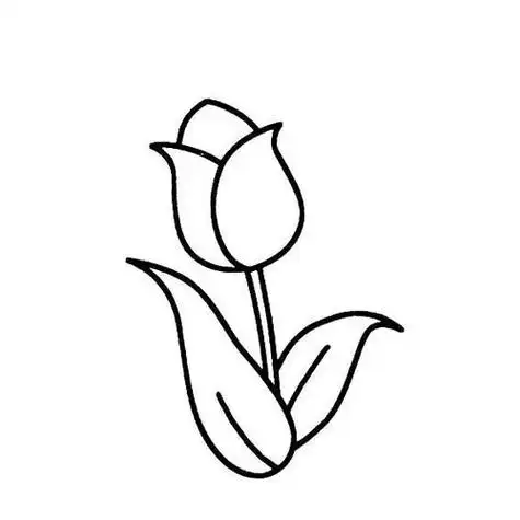 郁金花花朵简笔画 简笔画图片大全-蒲城教育文学网