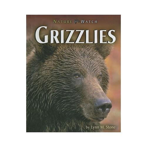 【预订】grizzlies