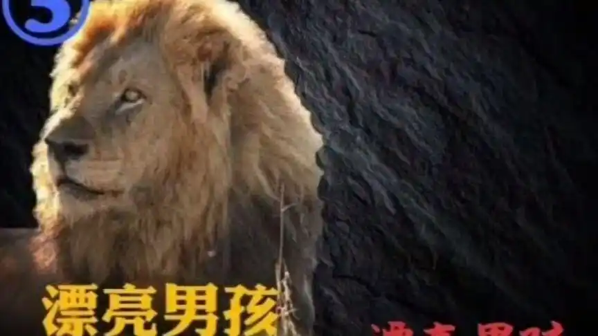 坏男孩联盟老三,漂亮男孩pp又名不死90大漂亮2001-2012