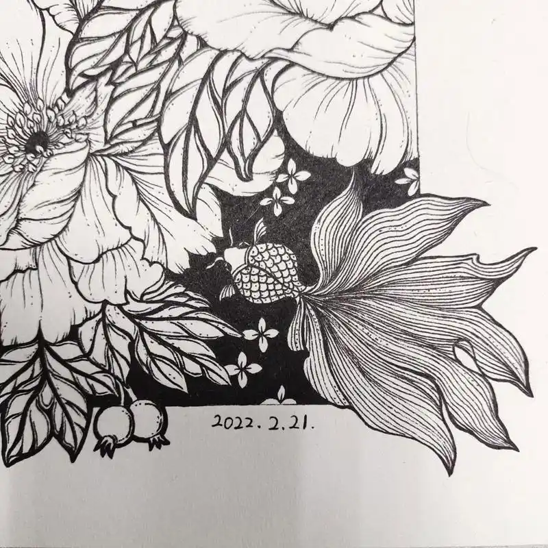 挑战50幅黑白装饰画day34 雍容华贵 年年有余 插画 插画分享 装饰画