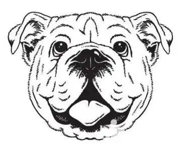 张开嘴简笔画狗头