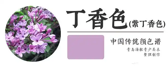 丁香色br丁香花的颜色有认为丁香色和紫丁香色是两种颜色丁香色更粉