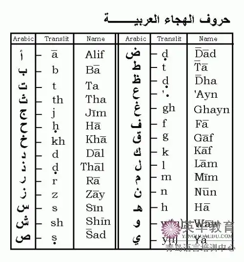 阿拉伯语有28个字母,都是辅音.