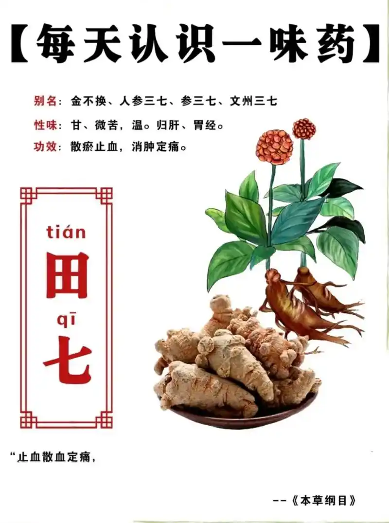 科普一下 #田七#喝出好气色  当你感到悲哀痛苦时,最好是 - 抖音
