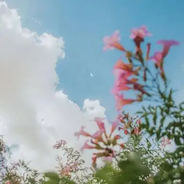 2021最美风景头像高清好看的2021最美微信风景图片