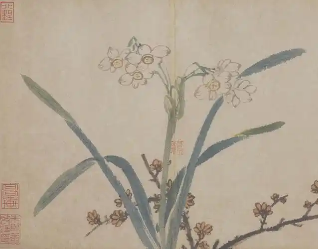 沈周 水仙陈洪绶 水仙灵石图八大山人 水仙陈淳 水仙陈淳 书画图明