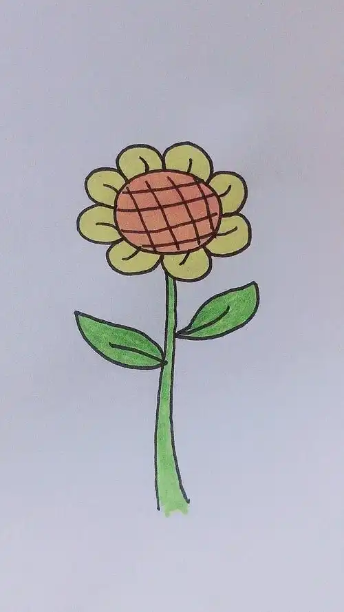 我要上热门#简笔画向日葵