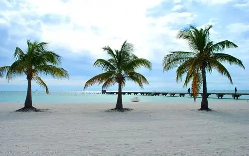 关键词:高清沙滩椰子树风景图片下载 海边 椰子树 度假 大海 海岸