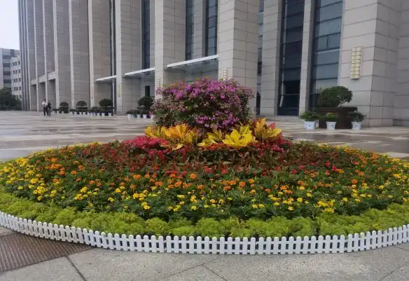 庆祝建党100年鲜花锦簇靓校园