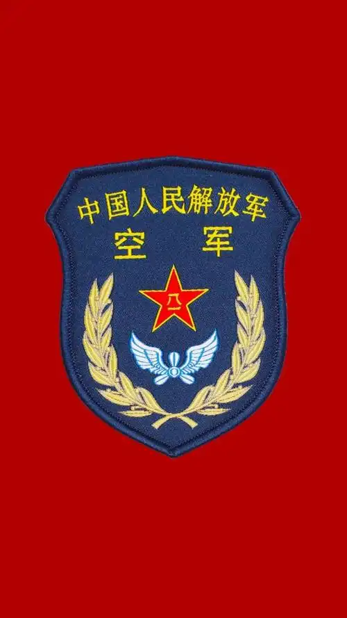 13公开亮相!21式作业服胸标臂章来了!