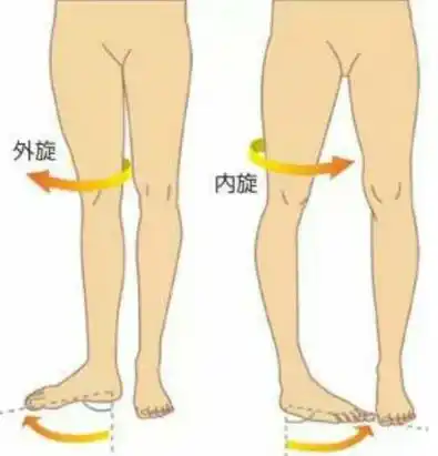 在查阅了骨科和康复学各种资料后,甚至没有找到 "股骨大转子突出"这个
