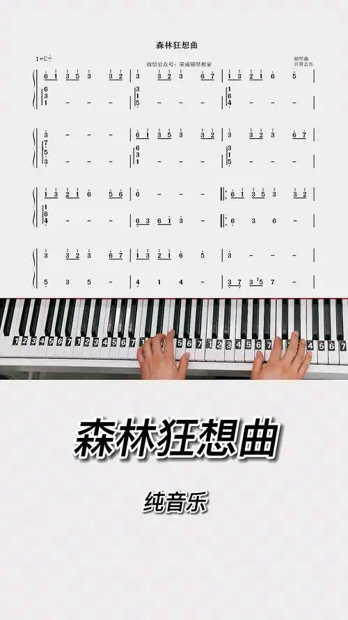 森林狂想曲钢琴教学零基础版双手钢琴简谱教程来咯完整版已写好