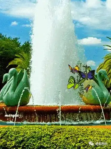 会动的照片 ! 太壮观了,快看看!