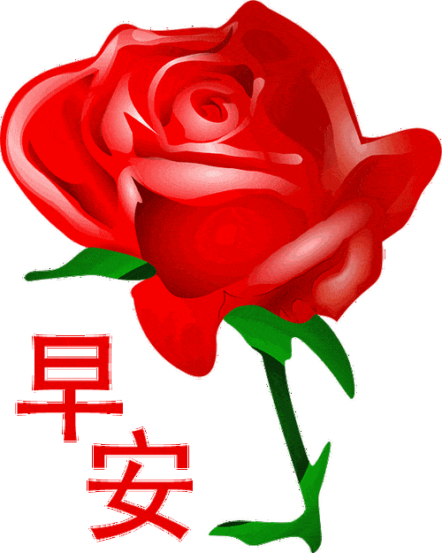 怎么跟女生说早上好显得有幽默感 微信早上好图片