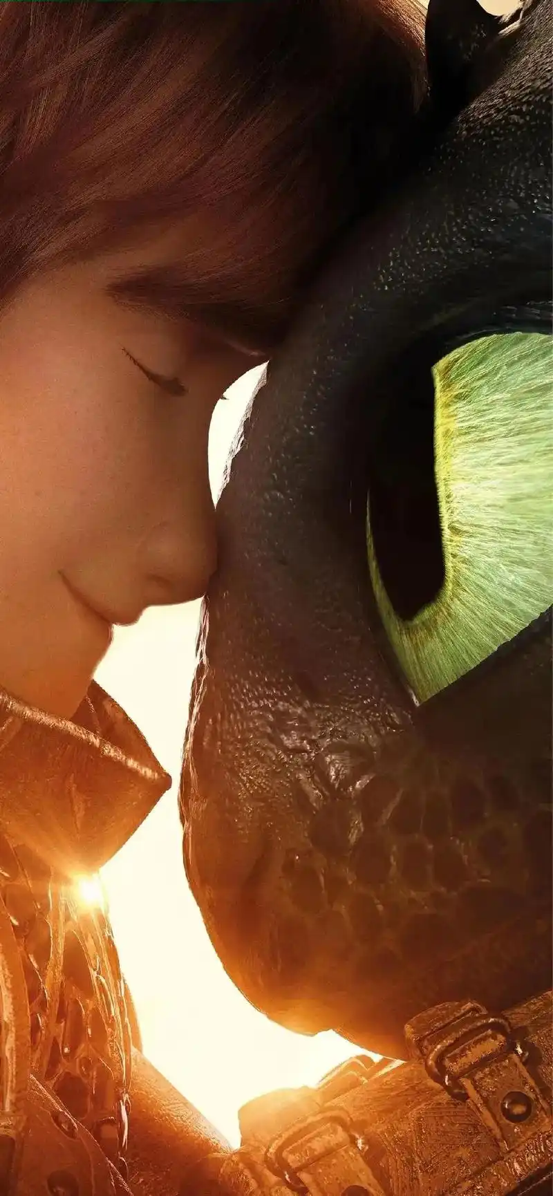 hiccup. #壁纸  #驯龙高手  - 抖音