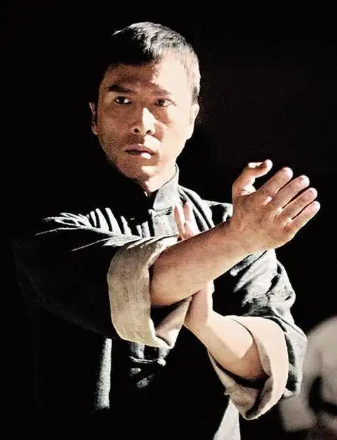 甄子丹通过自己厚实的功底,让这部作品成为国内最佳动作片之一!