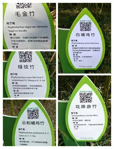 浙江安吉――中国竹子博览园