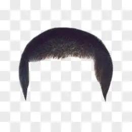 头发图片素材_免费头发png设计图片大全_图精灵