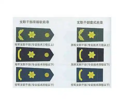 肩章是一个麦穗一个六角花是啥军衔军衔肩章