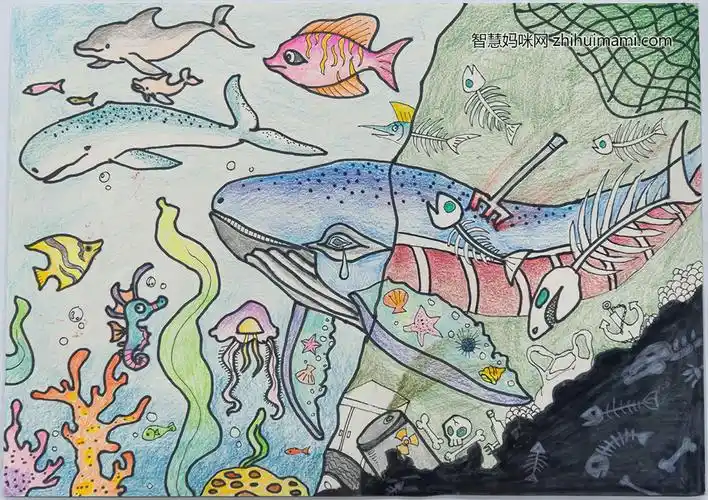 步骤4:聂子渊-海洋污染与新生