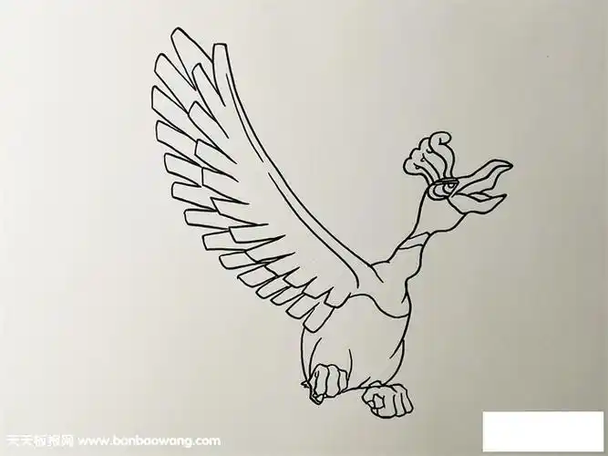 神奇宝贝凤王怎么画