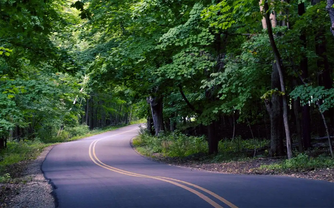 清新树林绿色马路唯美意境高清电脑壁纸图片大全