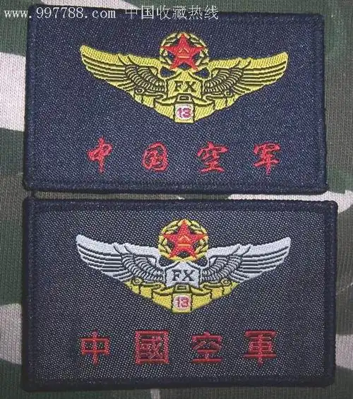 空军早期飞行胸标2种