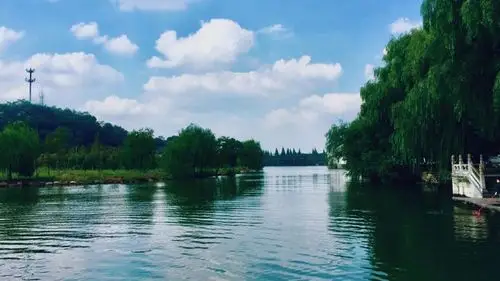 从9月8日开始,运势如虹,会吉星高照,好运满满的三大生肖|运势|好运