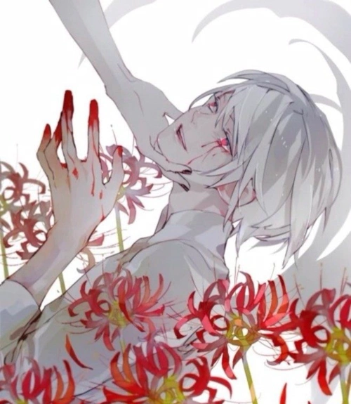 满身伤痕的动漫男女神,金木研可怜,犬夜叉,杀生丸让人心痛不已