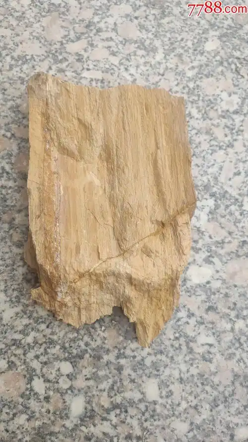奇石千层木纹石观赏石一块重25市斤花色