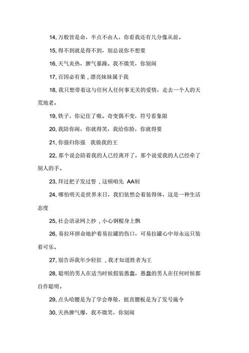 精神小伙经典语录短句霸气句子pdf8页