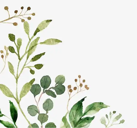 春天手绘插画植物清新