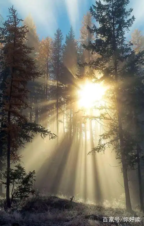 温暖人心的早安心语,很暖很贴心,心中洒满阳光!