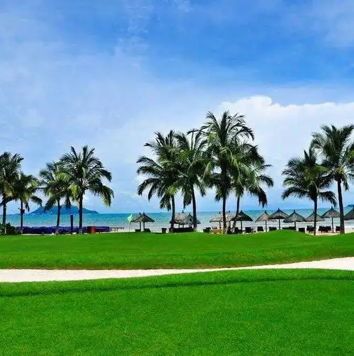 三亚风景热头像