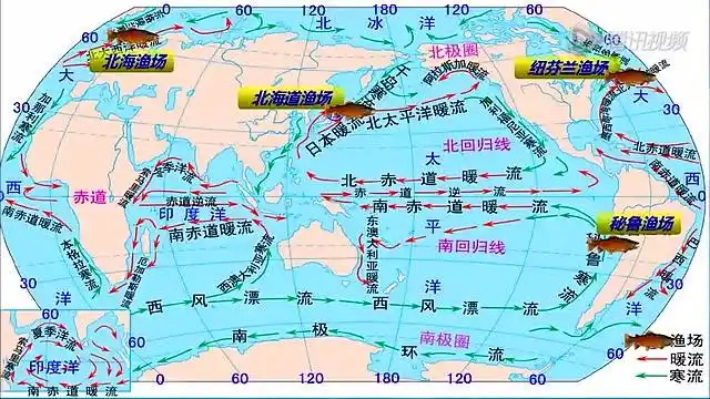 寒暖流交汇处形成渔场