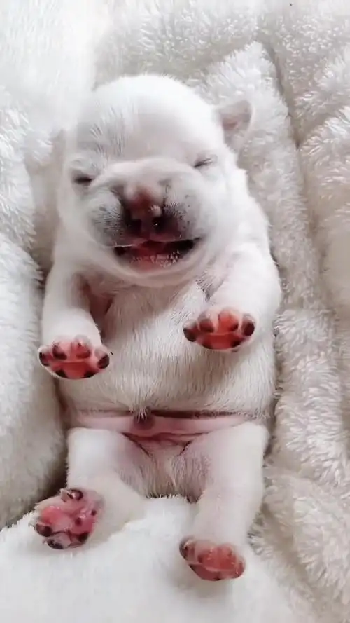 720_1280竖版 竖屏