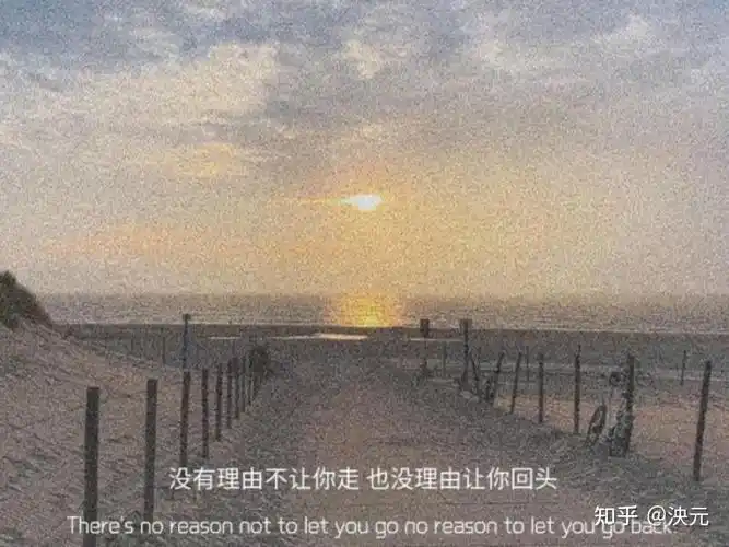 你收藏过哪些网易云热评文案