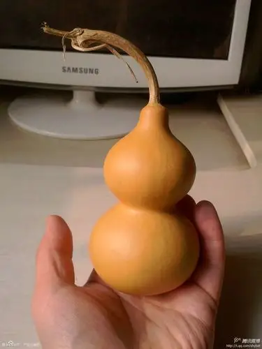 漂亮的葫芦.