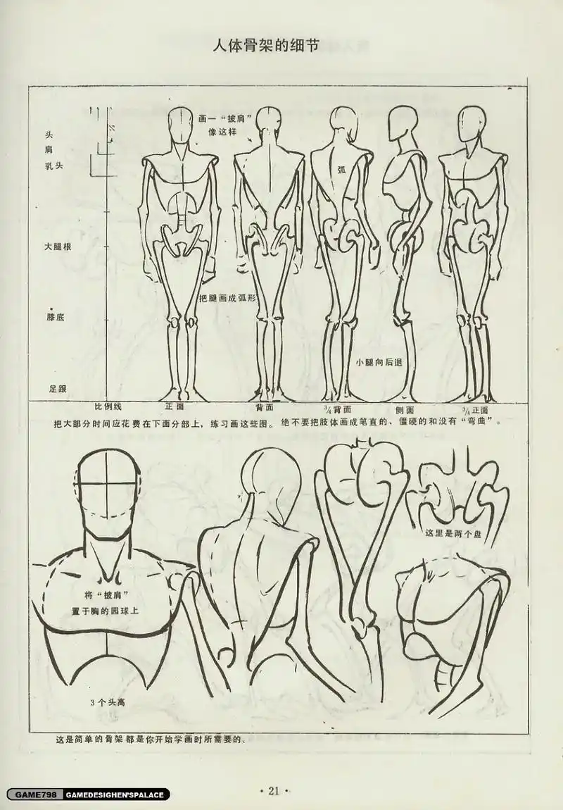 安德鲁.路米斯《人体素描》