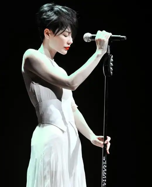 王菲演演唱会现场照片