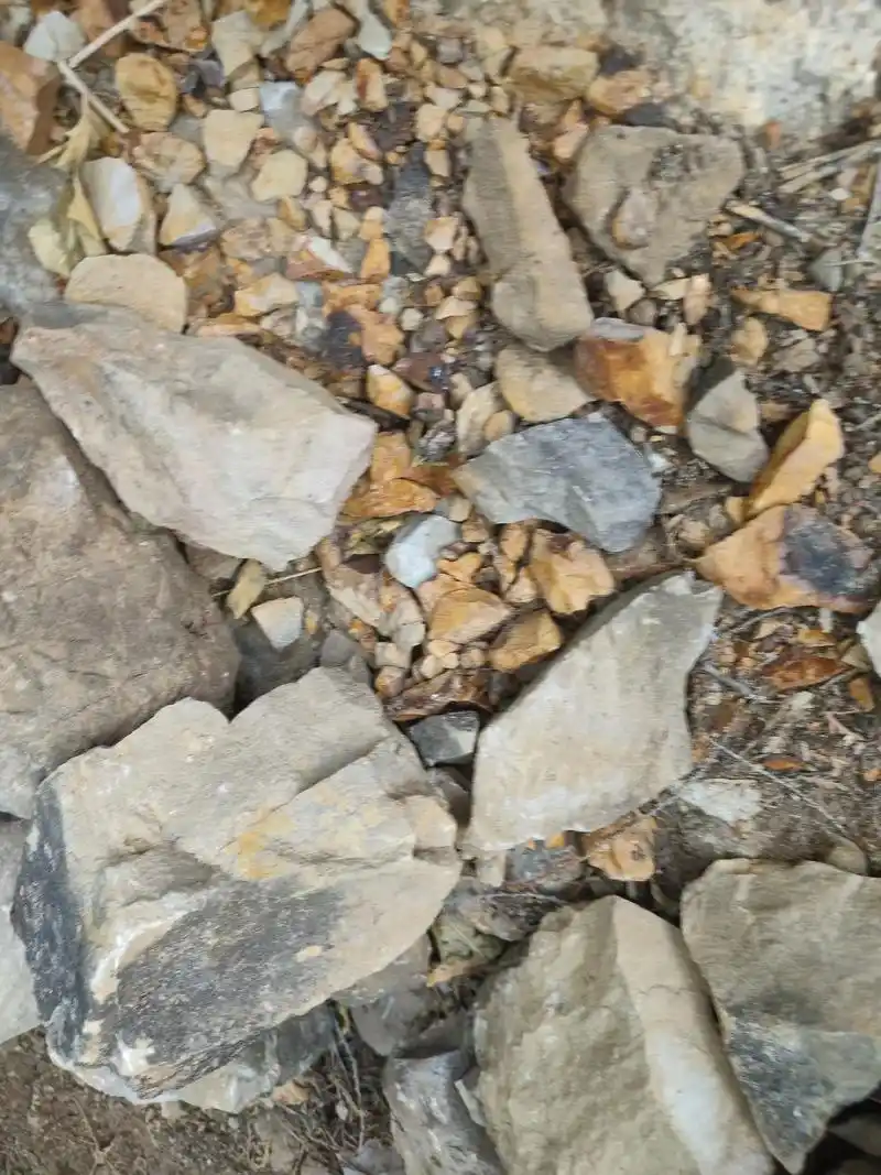 火山石和陨石差别明显