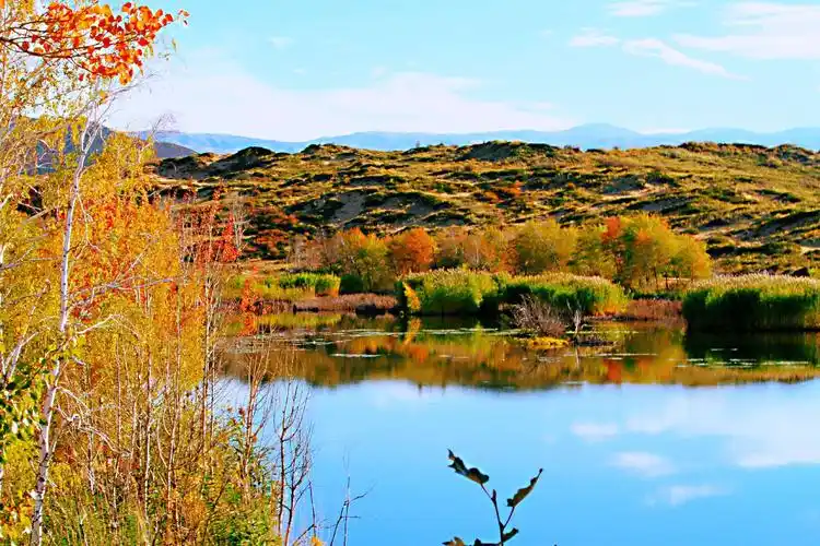拍摄于不同地方,秋天的景色真迷人,花开香无言,落叶知秋寒.