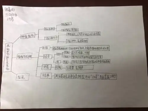 三(2)班科学第一单元思维导图
